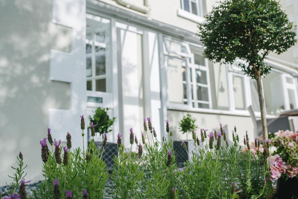 Apple Tree Bed And Breakfast Tavistock  Luaran gambar
